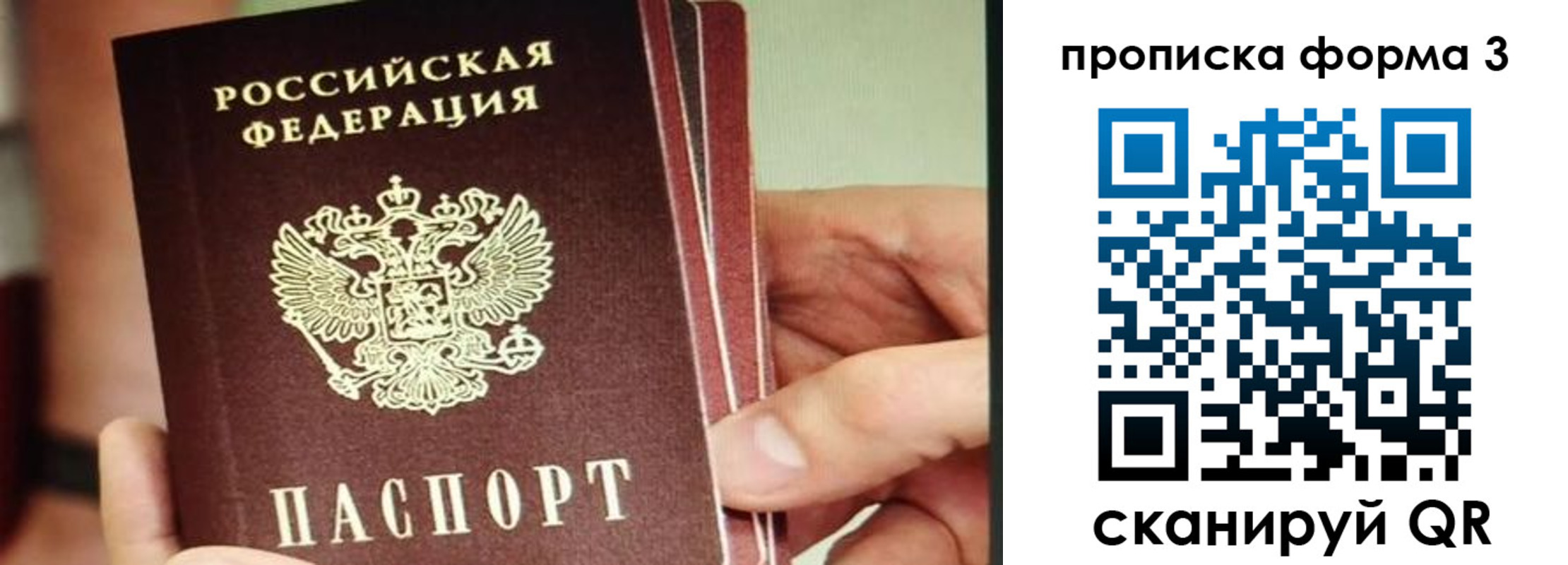 прописка законно в Ясном